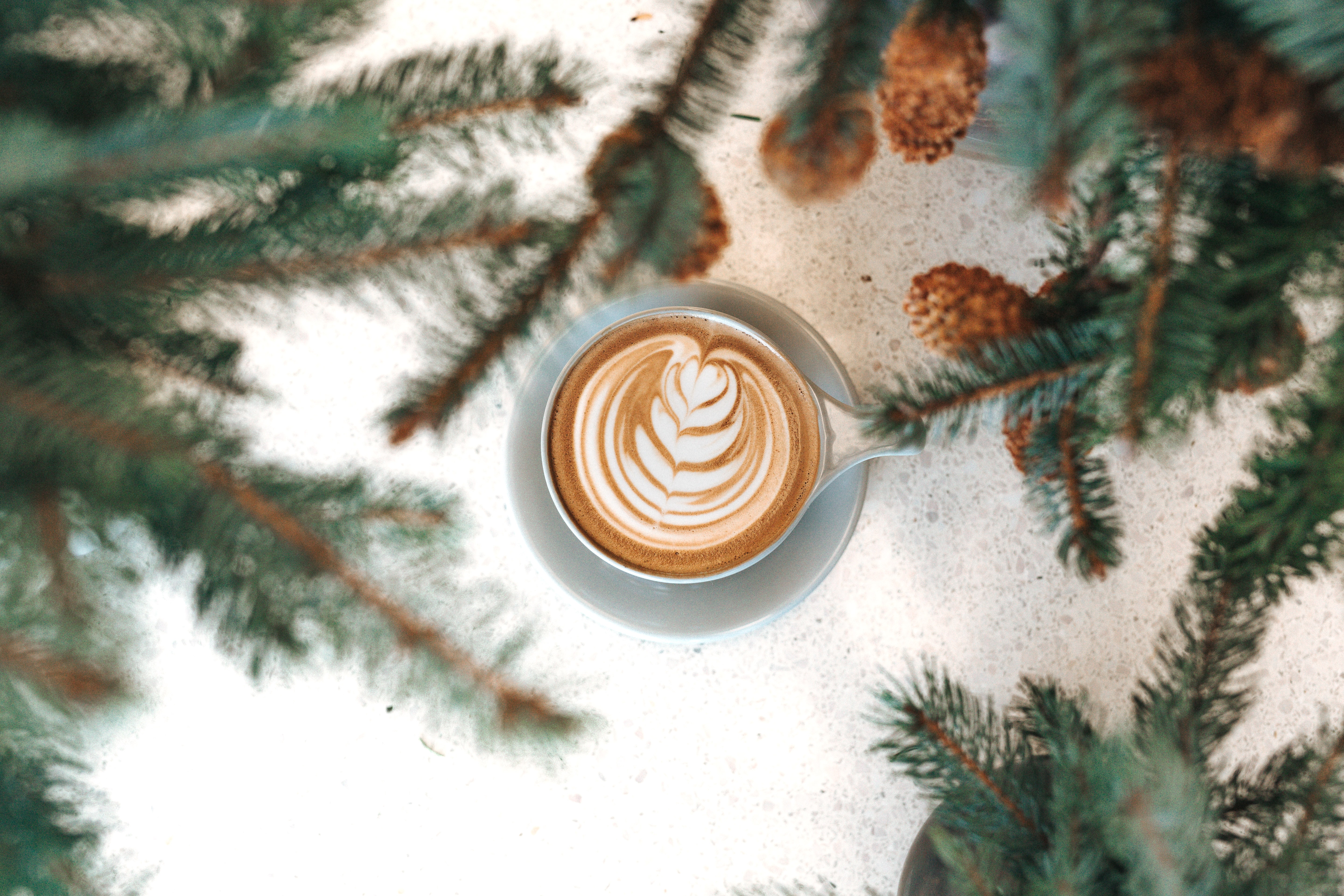 Cool Coffee Shops In Budapest